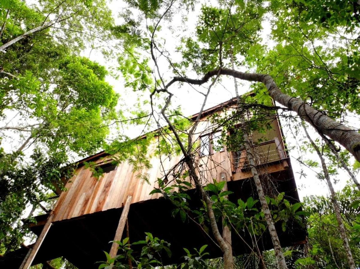 La Luciole Ecolodge Parati Extérieur photo