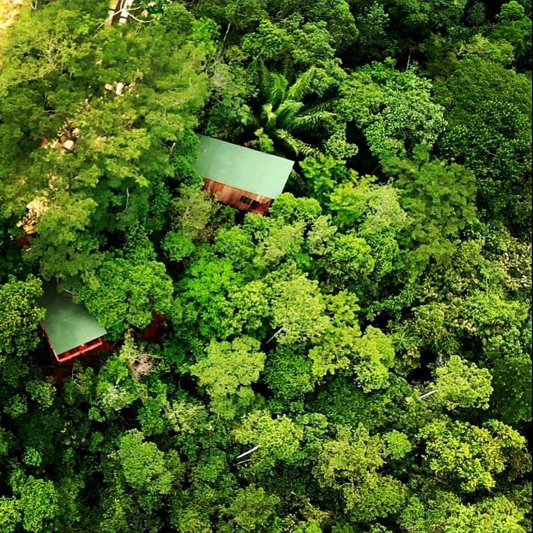 La Luciole Ecolodge Parati Extérieur photo