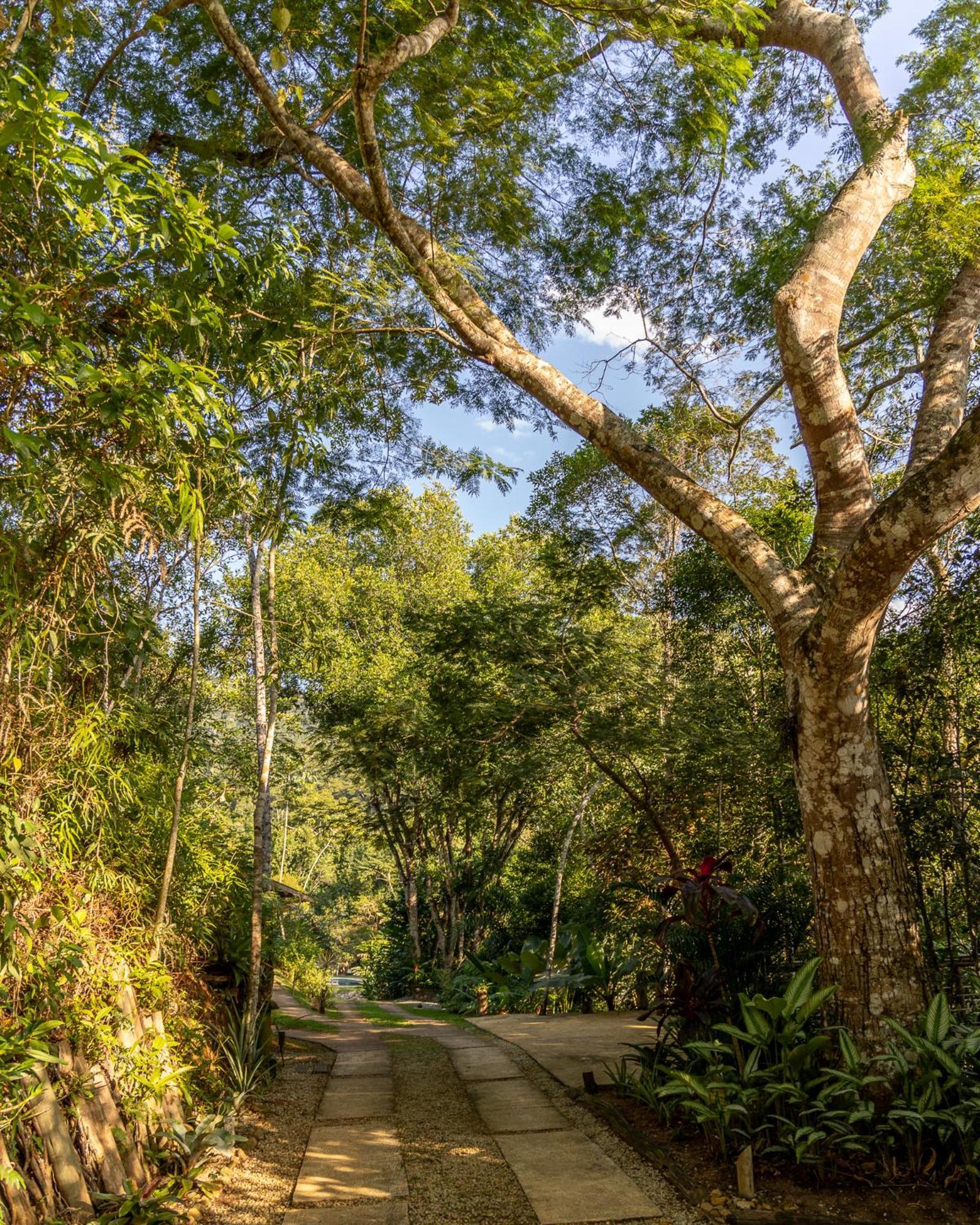 La Luciole Ecolodge Parati Extérieur photo